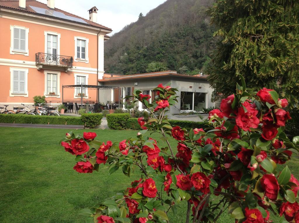 B&B Villa Dei Pini Cannobio Zewnętrze zdjęcie