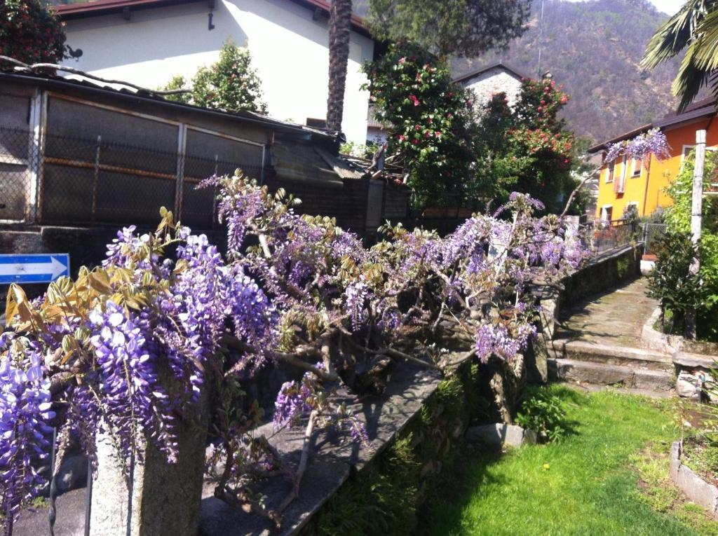 B&B Villa Dei Pini Cannobio Zewnętrze zdjęcie