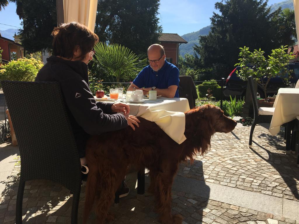 B&B Villa Dei Pini Cannobio Zewnętrze zdjęcie