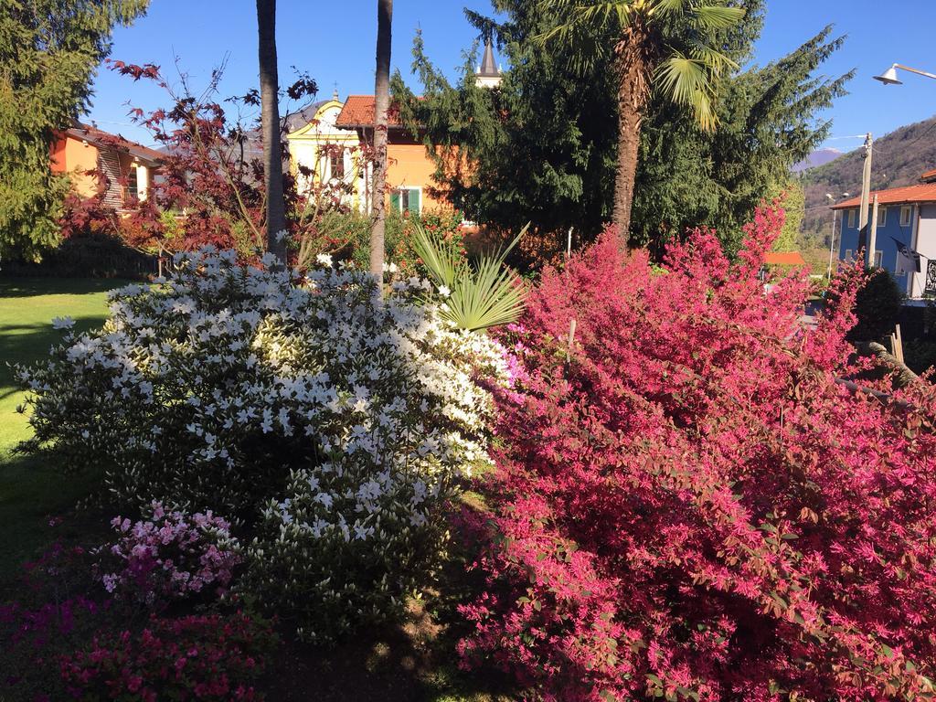 B&B Villa Dei Pini Cannobio Zewnętrze zdjęcie
